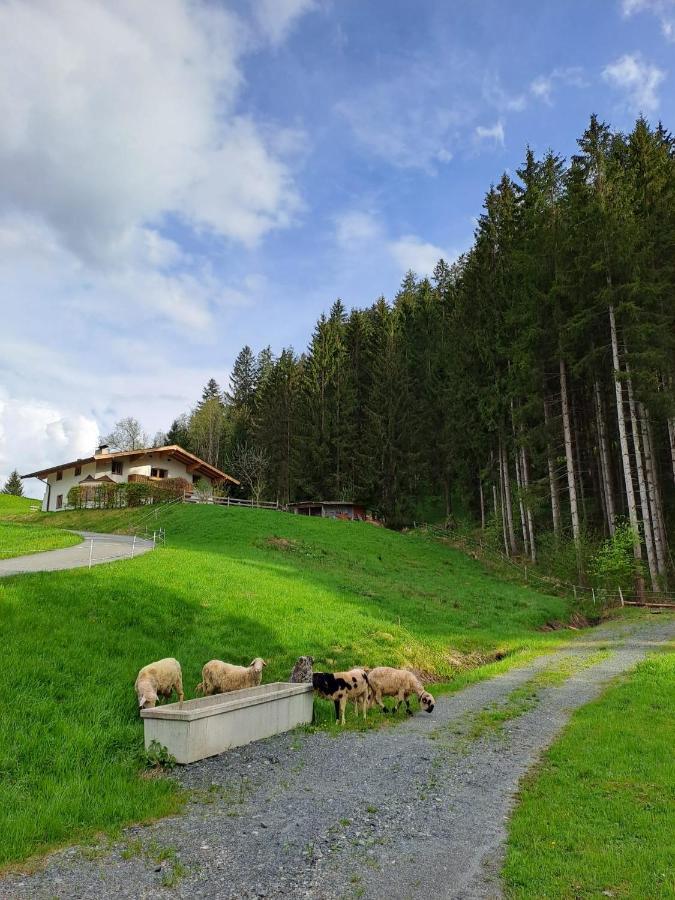 Ferienhaus Hansl Prama ภายนอก รูปภาพ