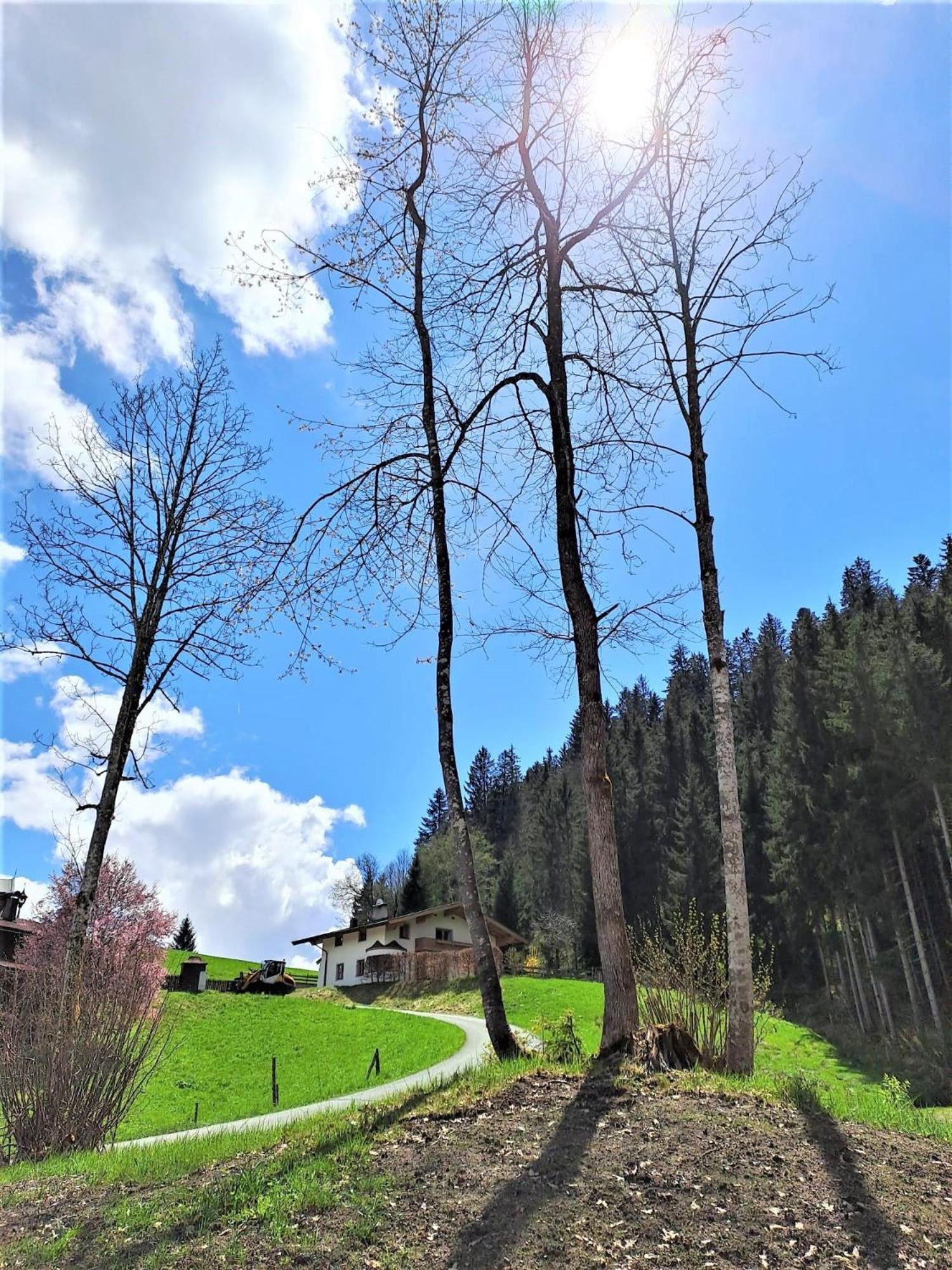 Ferienhaus Hansl Prama ภายนอก รูปภาพ